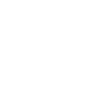 NLZIET